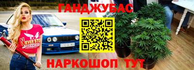 прущие грибы Чебаркуль