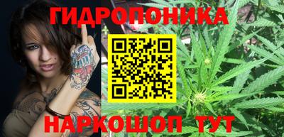 Альфа ПВП Чебоксары