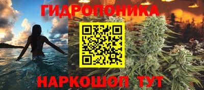 прущие грибы Чебаркуль