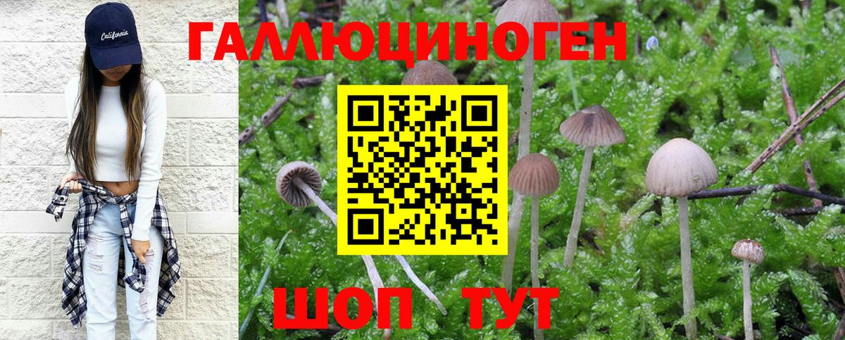 Псилоцибиновые грибы Psilocybine cubensis Ступино